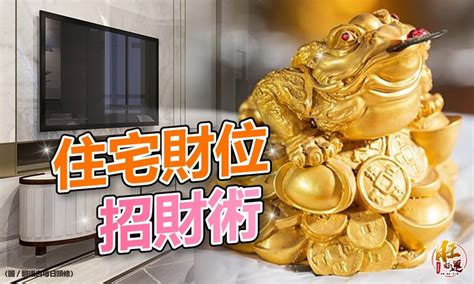 明財位可以放魚缸嗎|【明財位可以放魚缸嗎】財位的水缸習俗大公開！明財位能招財。